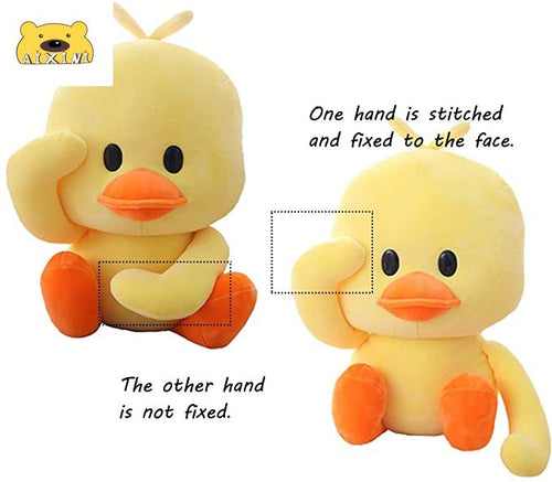Duck Plushies